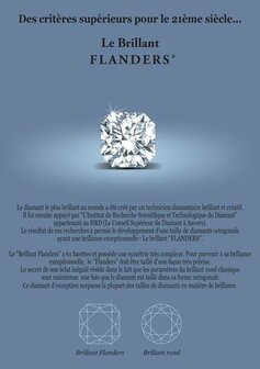 Pendentif - Or blanc 18 cts | Flanders
