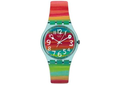 Swatch - Acier