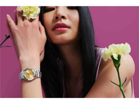 Swatch - Acier