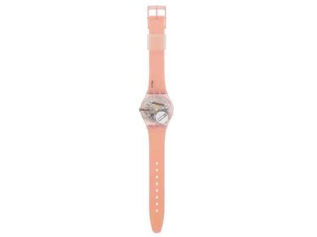 Swatch - Acier