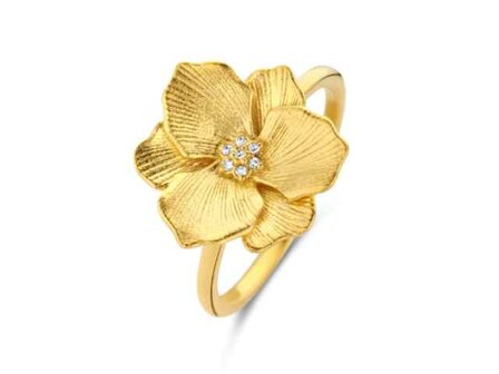 Diamanti Per Tutti - Vermeil