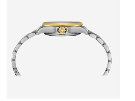 Montre Certina - Acier