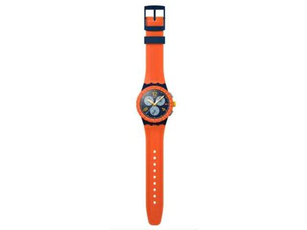Swatch - Acier