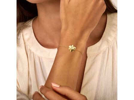 Diamanti Per Tutti - Vermeil