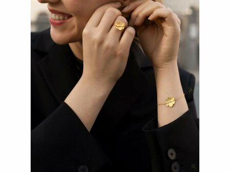 Diamanti Per Tutti - Vermeil