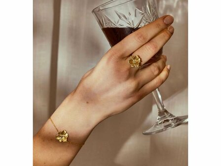 Diamanti Per Tutti - Vermeil