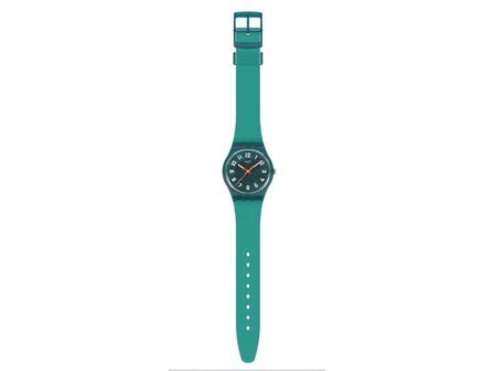 Swatch - Plastique