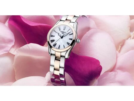 Montre Tissot - Acier