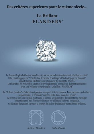 Pendentif - Or blanc 18 cts | Flanders