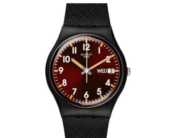 Swatch - Plastique