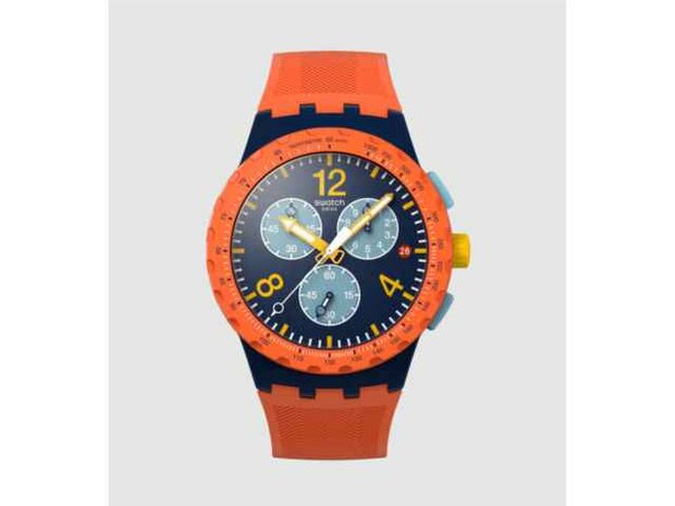 Swatch - Acier