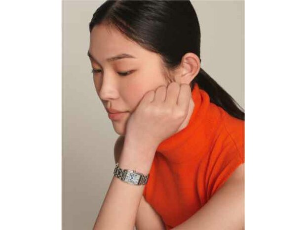 Longines - Acier