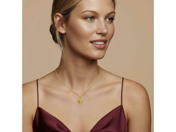 Diamanti Per Tutti - Vermeil