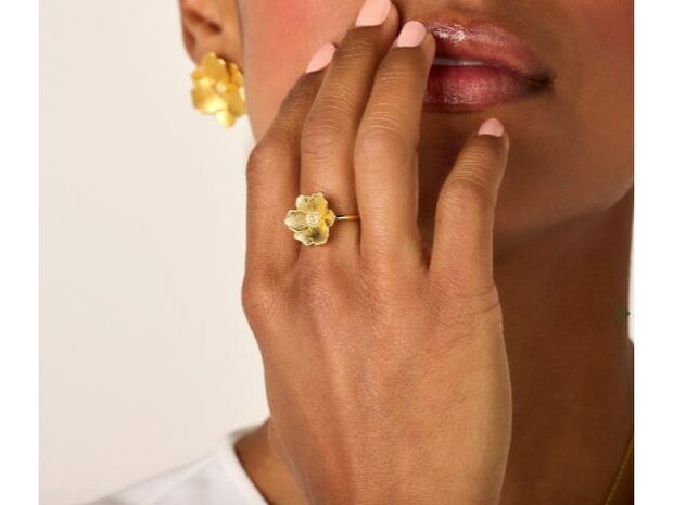 Diamanti Per Tutti - Vermeil