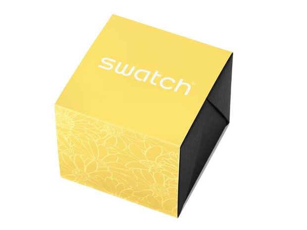 Swatch - Acier