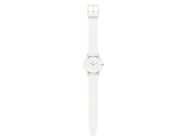 Swatch - Acier