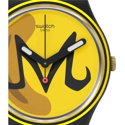 Swatch - Acier