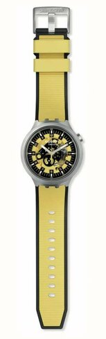 Swatch - Acier