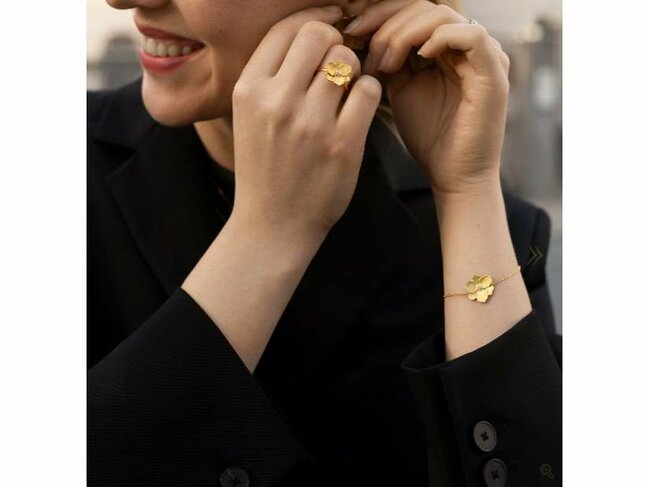 Diamanti Per Tutti - Vermeil