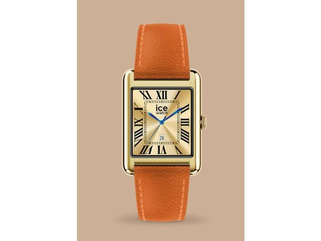 Ice Watch - Acier | Ice Watch Belgium