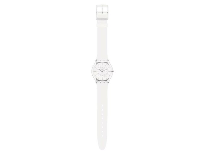 Swatch - Acier