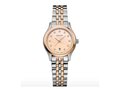 Montre Balmain - Acier