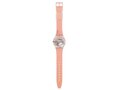 Swatch - Acier