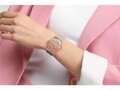 Swatch - Acier