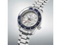Seiko - Acier