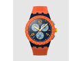 Swatch - Acier